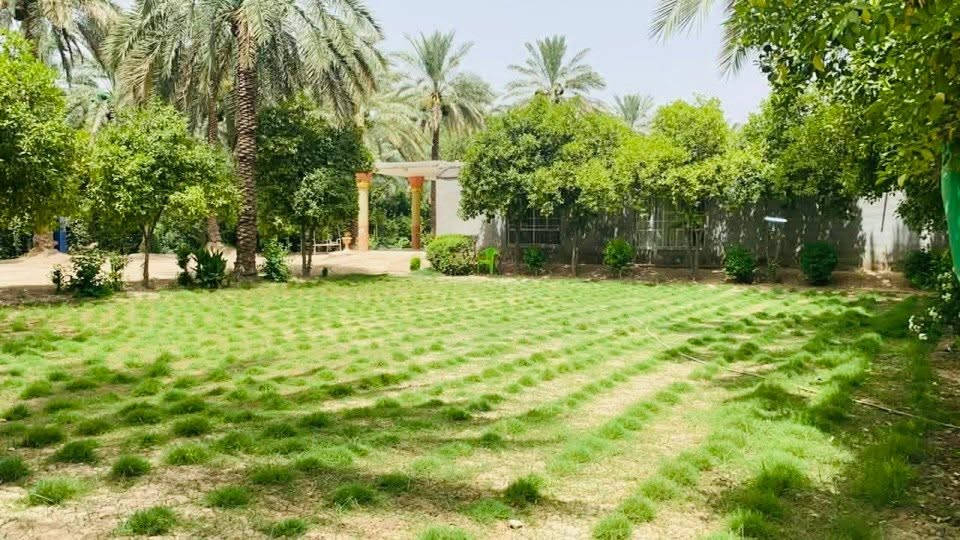 على بركة الله
🌿 بستان ١٦ دونم للبيع 🌿

يحتوي على نخيل 🌴 وحمضيات بنواعها 

📍 موقع مميز

🏡 مع بيت سكني وحديقة بمساحة ٥٠٠ متر سند25
🌳 بستان واسع ومناسب للاستثمار والسكن

📐 المساحة: ١٦ دونم

 واسط _الصويرة_الجوز_الشرقي 

للاستفسار والتفاصيل التواصل على الخاص 📩***********
