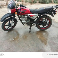 بوكسر • بدون اوراق