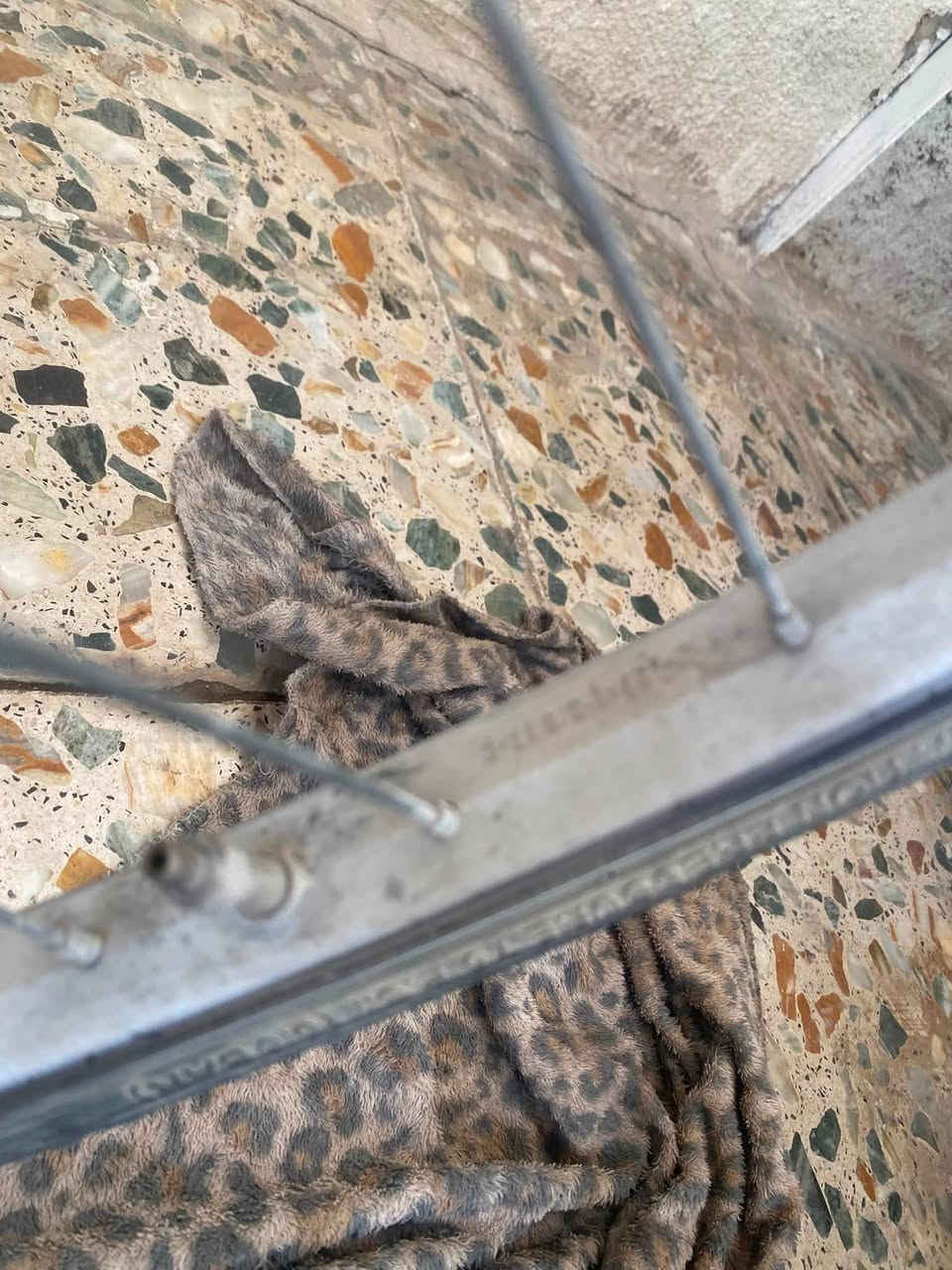 باسكل ياباني بالة للبيع باسكل نضيف بس يحتاجلة غسل قليل الاستخدام  سعرة 65 وبي مجال للطيبين رقم الاتصال *********** واتساب فقط
