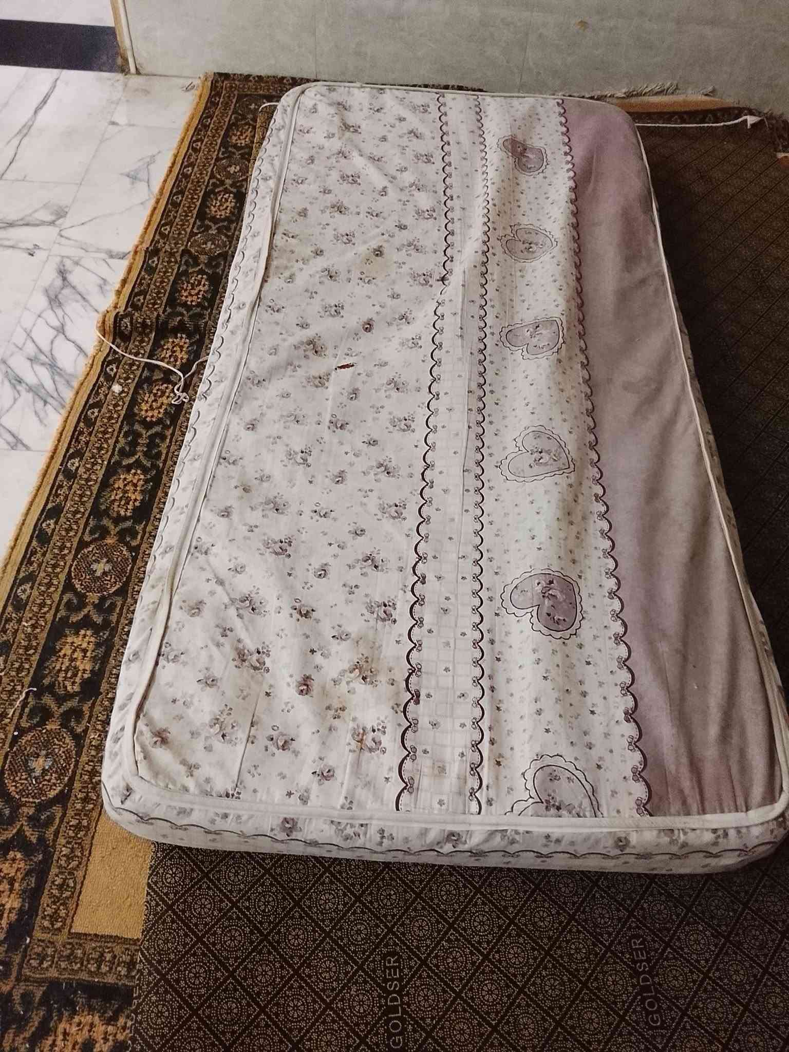 فرشات • ٦×٣ • كوت الزهراء