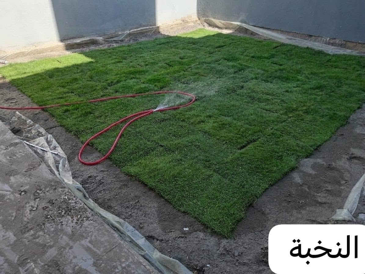 نعمل الحدائق من الصفر.... في الأحياء السكنية.. والمجمعات السكنية
***********
***********
