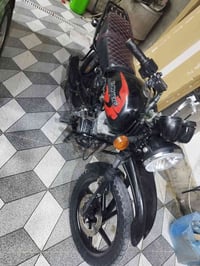 بوكسر جبلي • ٢٠٢٠ • ستوته