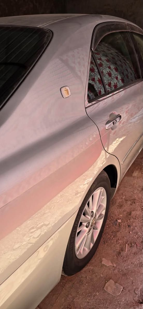 شاهينه ادوات قماره فقط جديده بل كارتون جاهزه 
شاصي 82 تبريد حداديه كير مكينه كله مكفول مكانه نجف السعر 40 قفل ***********
