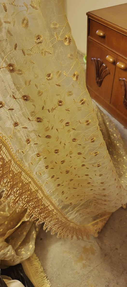 كامون 20 برو • ما بيهن ضرر • دولعي