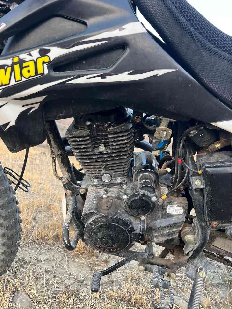 كاويال GTX • هيران • شقلاوة