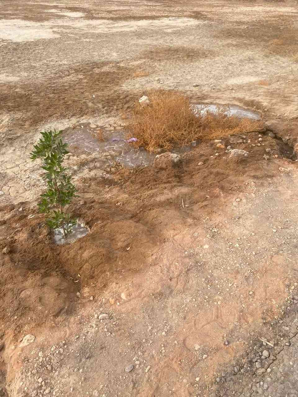 #يالله السلام عليكم 
دونم ركن للبيع طابو زراعي سند 25 تحويل مباشر بأسم المشتري
الواجهه 56 والنزال 45 
خدمات كامله عرض الشوارع 10متر تبليط
عنوان. شارع بغداد سايد الدخول عامود 52 يبعد عن الامام 7 كيلو 
السعر..170مليون وبيه مجال بسيط 
ملاحضه يباع منه نصف دونم ايضآ بسعر 85مليون
للأسفسار اتصل على.. ‭***********‬

