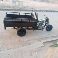ستوته • أوراق • موديل 14