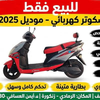 سكوتر كهربائي • موديل 2025 • الرمادي زنكورة