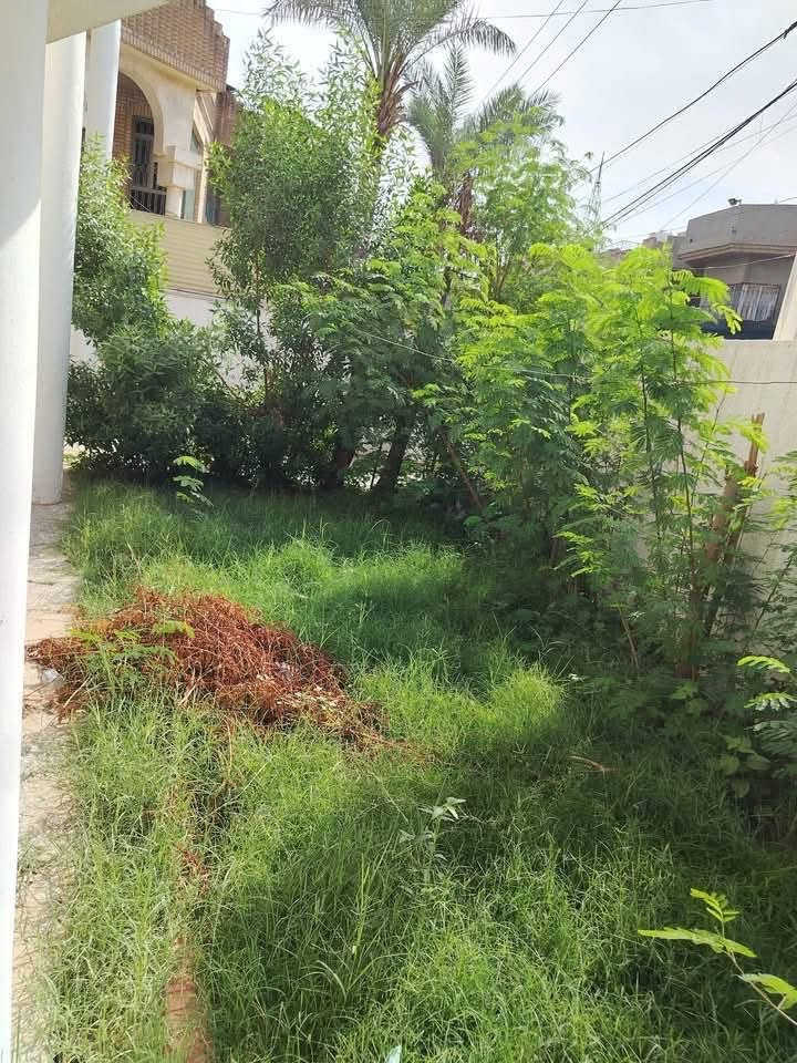 السيديه • ٣٢٠م • ٤ غرف
