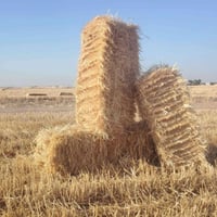 كبس تبن • درجة أولى • توصيل مجاني