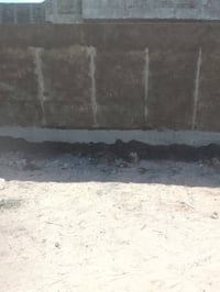 بخ اسمنت • نثر • درجة أولى