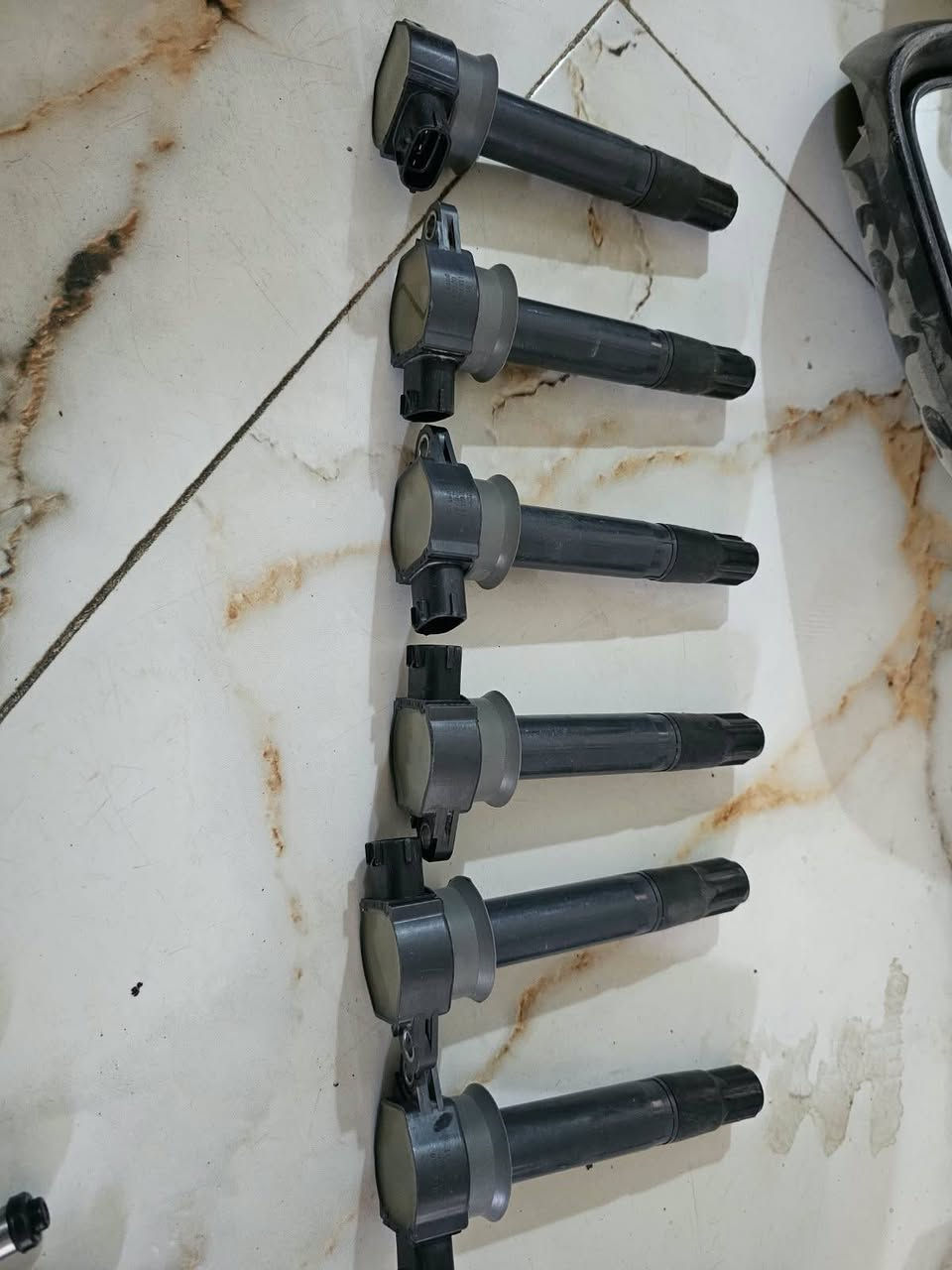 شلع • فيه مجال