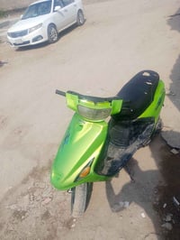 فراشة • بابل • قريب المحكمه