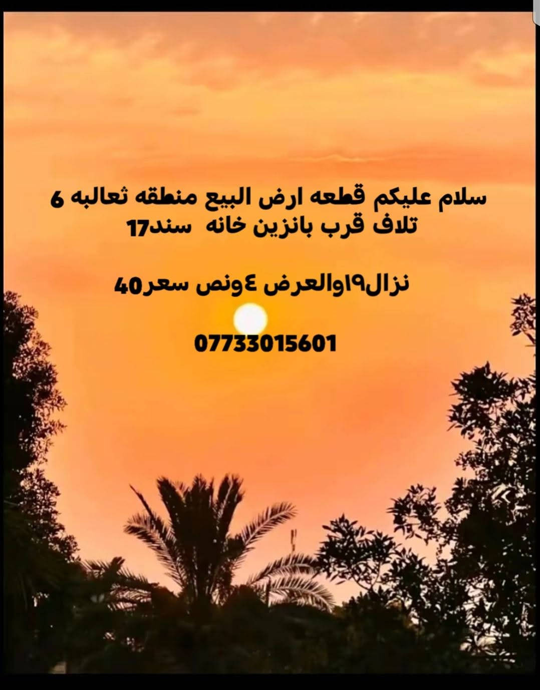 ثعالبه ٦ • سند ١٧ • ١٩×٤٫٥