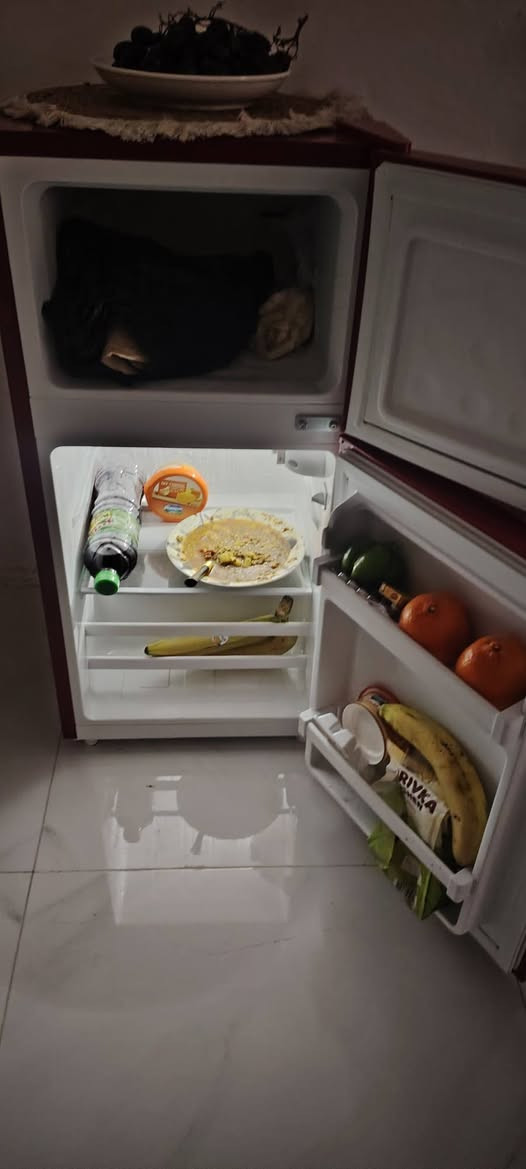 ثلاجه صغيره مستعمله ٣ اشهر فقط والكتلوك مالتها موجود مع ضمان سنتين ***********
تأخذها من البيت اي شي بيها ترجع لان جديده وسعرها ١٩٥ وبيها مجال مكان ديالى شهربان
