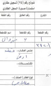 أرض • ٣٠٠م • سند باسمي