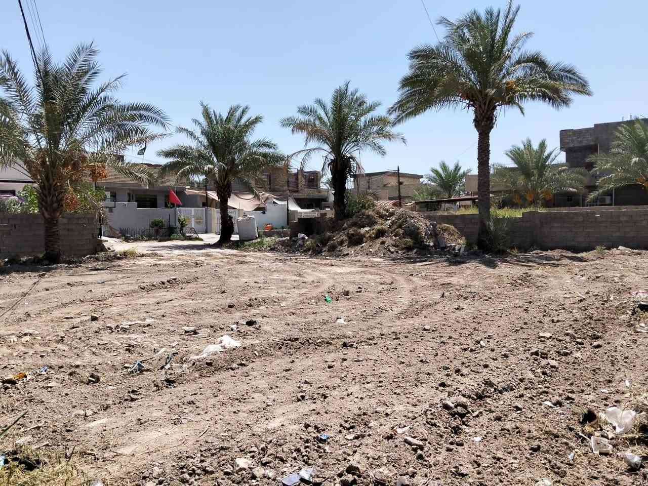 السلام عليكم قطعه ارض للبيع زراعي مساحه 450متر كامله خدمات بيهاا مجاري مي كهرباء تبليط واجهيه 12 وبيهاا باب خلفي واجهيته متر ونص حي كامل مبني يمهاا مكانها حي المعامره مقابيل حي الجزائر للاستفسار ***********
