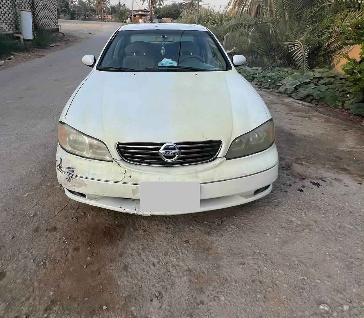 ماكسيما • ٢٠٠٨ • بدون صبغ