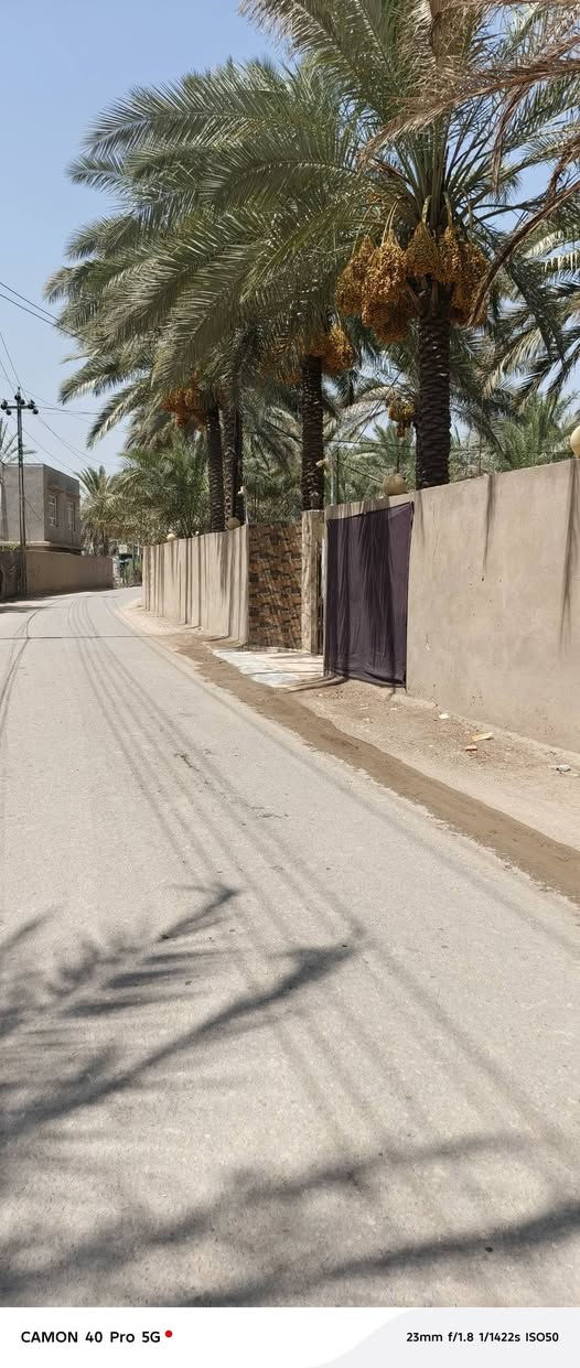 للبيع دار المساحه دونم وربع سياحي قرية النخيلة الشرقيه قرب محطه الوقود طابو زراعي بسمي يبعد عن شارع  العام اربعين متر تفاصيل أكثر اتصل واني خادم ***********
