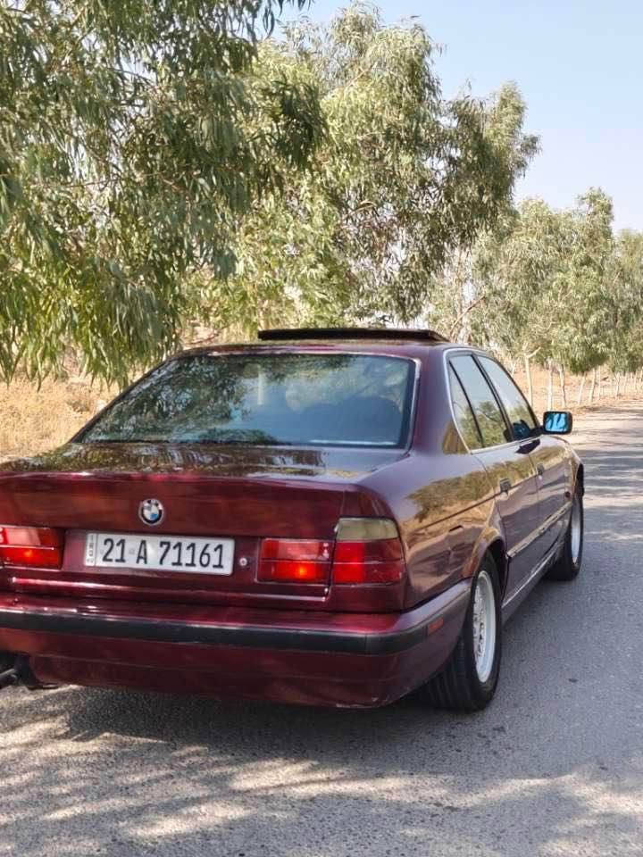 *********** كركوك, العراق
