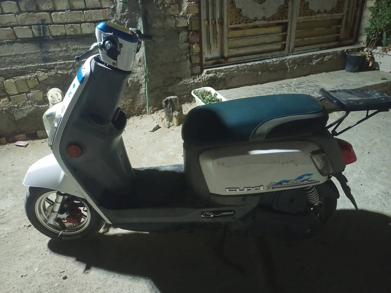 بوليس • نضيفه • مكفوله