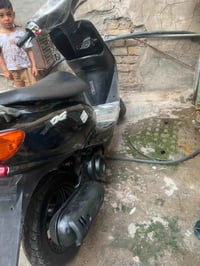 عصفورية • نضيفه • معدل