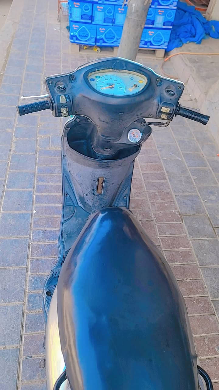 بغبغاء • سلف • نضيفه