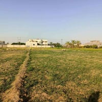 جزيرة البوذياب • ٢٠٠٠م • سكنية