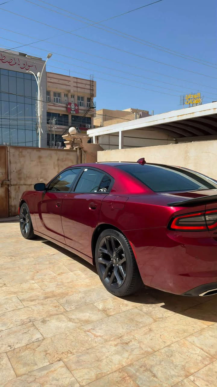 سلام عليكم للبيع جارجر sxt بلاك توب 2023 رقم بغداد الدولي بأسمي مداور ثاني يوم لون كرزي 🍒 كفالة عامة تقرير تعمل و تسير ماشية 44 ميل السيارة جاهزة حدادية و تخم تاير حديد و تبريد قطعتين و شاشة جبيرة تحكمات ستيرن ويل 20 و باقي مواصفات البلاك توب معروفة السعر 235 و بيها مجال بسيط للشراي مكاني ناصرية مركز.
للأستفسار *********** .
