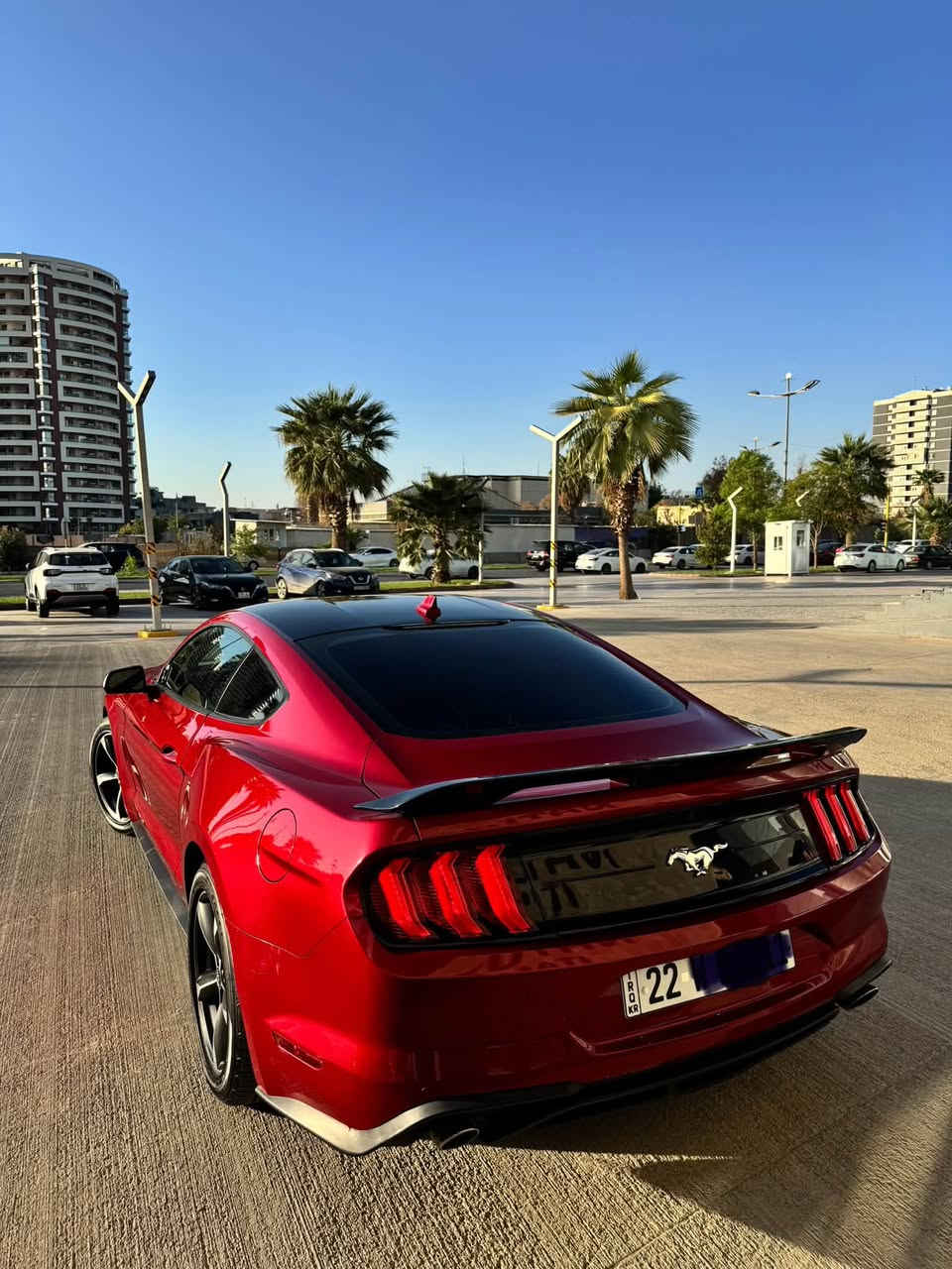 ‏Ford Mustang EcoBoost 2023
لون احمر غامق كلش مميز 
الحادث تعديل بارد فقط وصبغ بنيد بدون ايرباكات وبالفحص طلع بيهه كلير امريكا جاملغ وباب  
- السعر:  181 ورقه وبيه مجال بسيط 
- *مرقمة أربيل الرقم الجديد 
- الممشى 21،000  فقط  
- المحرك: 2.3L Turbo  اربعة سلندر 
- 5 وضعيات قيادة  
-بصمة تشغيل 
- شاشة جبيرة تدعم Apple CarPlay 
-تبريد منفصل 
-كاميرا خلفيه دواره
-حساس خلفي 
-تحكمات ستيرن 
-مانع تصادم
-محدد مسار 
-تصحيح مسار 
-مانع انزلاق 
-حساس دخول الانفاق 
-مثبت سرعة 
- نظام رادار أمامي + جانبي + خلفي  
-جام فول اوتوماتك 
- تحديد مسار + نظام تتبع + تحديد مسافة أمان  
-دخول ذكي 
-كشنات كهرباء 
- لايتات زينون أصلية   
موقع السيارة: أربيل
 ***********
