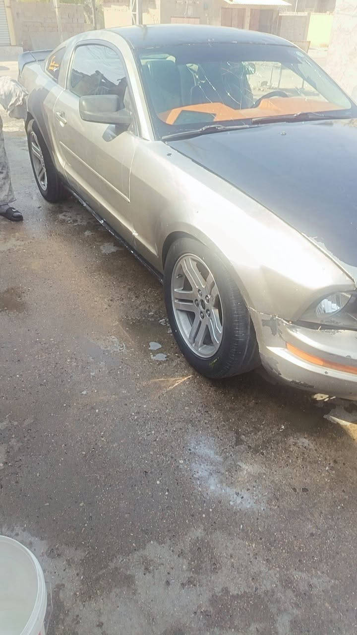 موستنك رقم شمالي نكليزي سعر ٦٥ او مراوس سنويه ما منتهيه سياره عوزه ترتيب كلش قليل اذا عدك مراوس دزلي  وساب داخل البصره ***********
