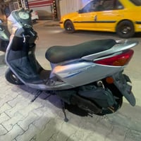 بغبغاء • مكفولة • الحريه