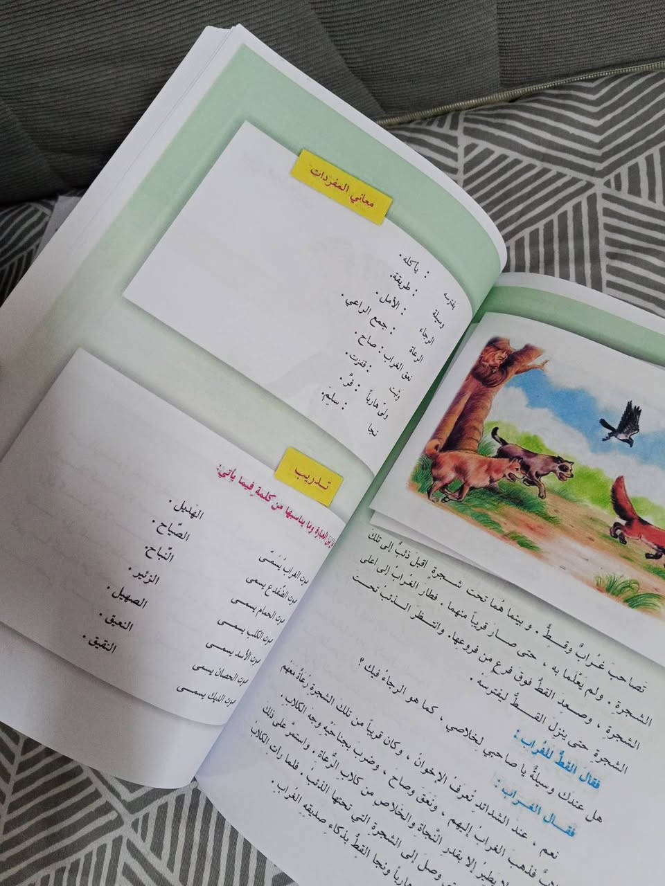 كتب خامس ابتدائي طبع درجه اولى السعر 20توصيل كركوك مجاني فقط.. لتفاصيل يرجى مراسلة رقم ***********
