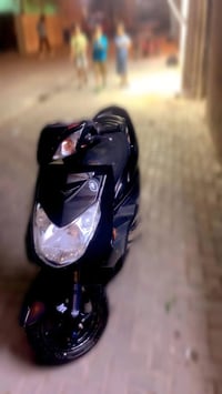 سكنس فحل • نضيفه • مكفولة