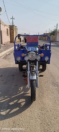 ستوتة جمرة • ازرق • كفالة