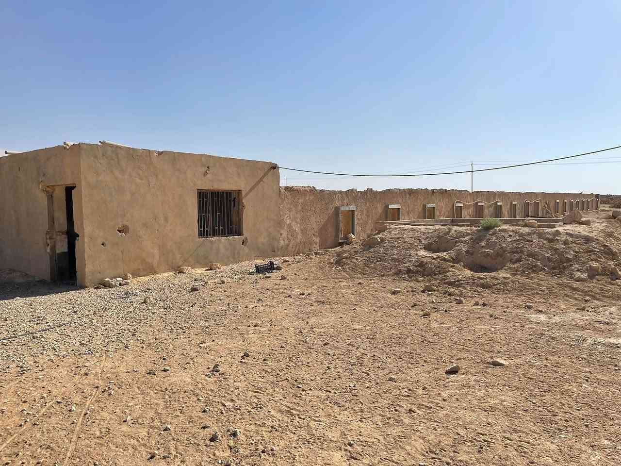 سلام عليكم 
لعدم التفرغ و لمن لديه الخبرة في هذا المجال 
حقل دواجن بعده ما كامل اريد ااجرة على وضعية و المصاريف تخصم من الايجار الحقل قريب جداً من المدينة خدمات كاملة من ماء و كهرباء الموقع قرب بانزين خانة حجلان و قرب سيطرة دخول حديثة الرئيسية مساحته الكلية ٧٠ طول و ٨ عرض غراضة كاملة من مفرغات و هيترات و معالف و كاسات ماء و اي مصاريف توضع يتم الاتفاق عليها ان شاء الله 
للاستفسار اكثر اتصل بالرقم ***********
