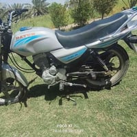 دايون عظم • موديل ٢١ • كلك مكفولة
