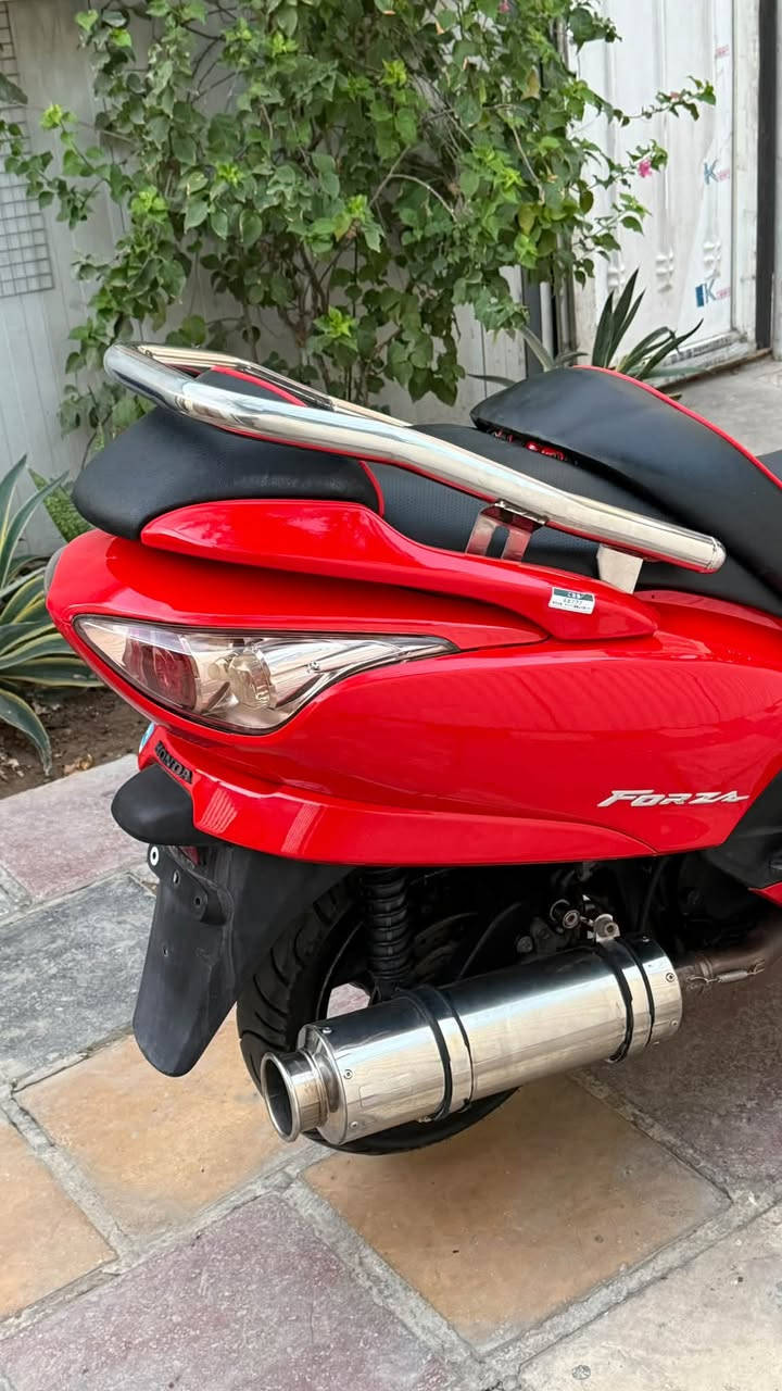 السلام عليكم
فورزا09 7 كير4 تحويلات + sport 

 

 /بصمه وحده +جانة طويلة اصلية + دبلات نيكل + Gps+ جداحة بجكمجة+ يدات بريك وسيدة سايد بريك ودوس وقبق الكلجات والشوتهة سستم نيكل كامل + زنون ثلجي اصلي وياها + تجوة + اكزوز ماركة صوتها كلش حلو

ملاحض : اوراقها كاملة + صورها اليوم مصورهن يعني تجي تلكاها نفس الصور حبة اختلاف ماڪꪆَ + صور مكينتها موجودة  

مكينه  ممفتوحه  / كلجات كفاله جويتر واحد ونص  جيب فيترك وتعال افحص على راحتك 

لون احمر    / نضافه٩٠٪؜ 

شلعه معدل قويه / كهربائيات كلها شغال / تراي يخبل ونعومه فول 

ملاحضه : دراجه حلوه ونضيفه ومداريها جيب  فيتر وتعال كلبها على راحتك 

سعرها ( مليون و٣٠٠ ) مكاني بغداد البنوك او الشعب  

للاستفسار  : هـ ***********
