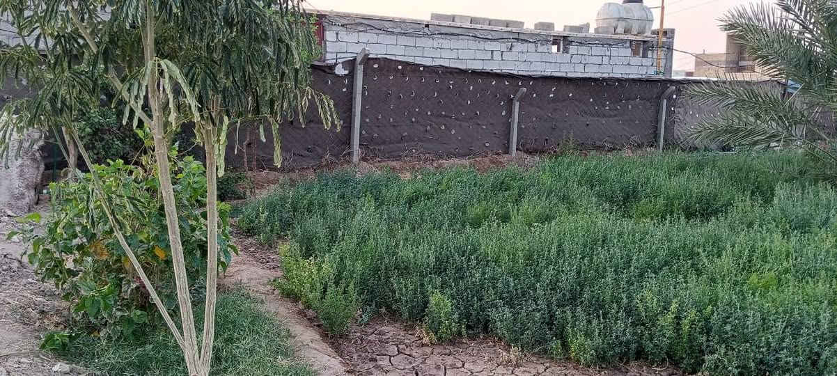 مرخصت مدير.الكروب
السلام عليكم 
قطعة ارض زراعي سند ٢٥ المساحة ٩٠٠م  كما موضح بالصور المرفقة وتحتوي على بأر إرتوازي وماء اسآلة والكهرباء قريبة جدا من الارض تبعد عن الشارع العام ٥٠ متر تقريباً الموقع طريق السنية السياحي قرب مدرسة الاصيل الابتدائية ( الكرفانات) وللاستفسار عن التفاصيل كاملة الاتصال على الرقم ***********.
