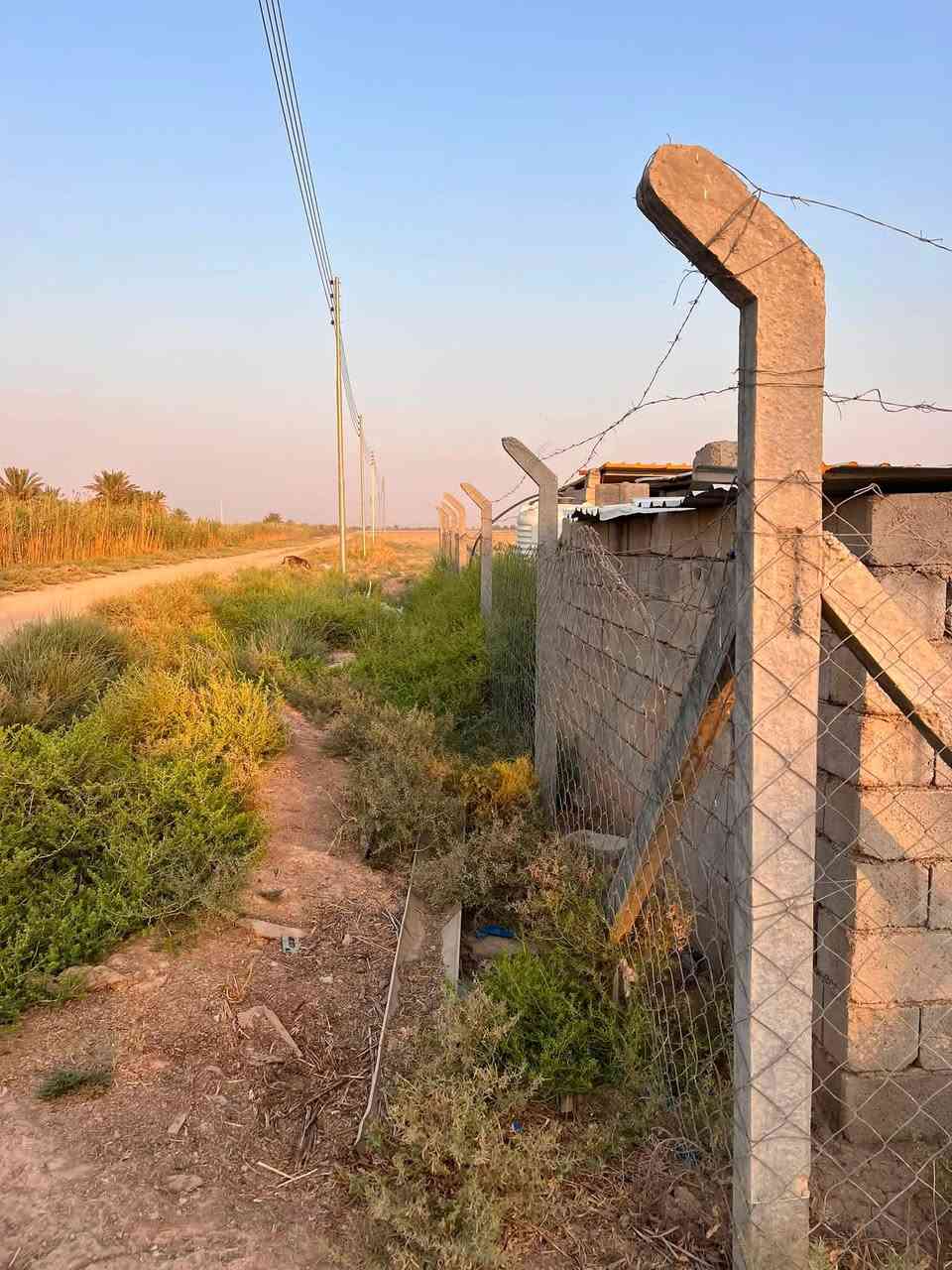 سيم مال حقل مال مزارع طول 150 متر
مكاني ديالى بعقوبه خان بني سعد 

***********
