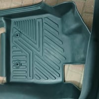 كاعيات • حوضيات • اصليات