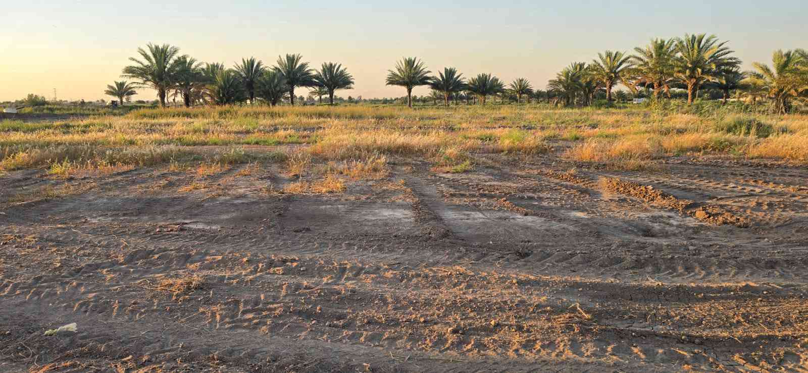 دوانم زراعي • ماء نهر دائم • المحاويل البدع
