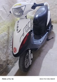 ماكس بلاديه • كفاله عامه • دبلات
