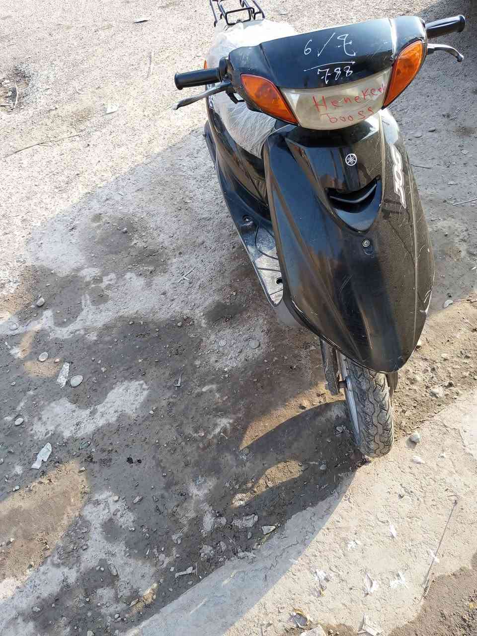عصفوريه • جديده • كله شغال
