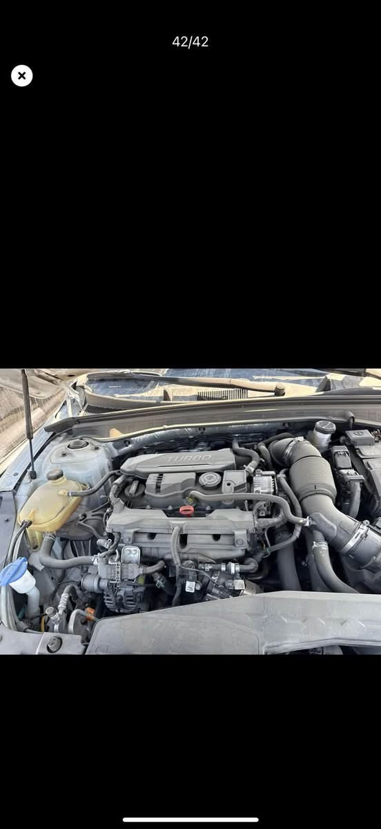 🚘 للبيع Kia K5 2024

• 1.6 تيربو
• وارد أمريكي
رقم بابل كتاب شهداء  

الحادث فقط جنطة راجع على بارد
***********
