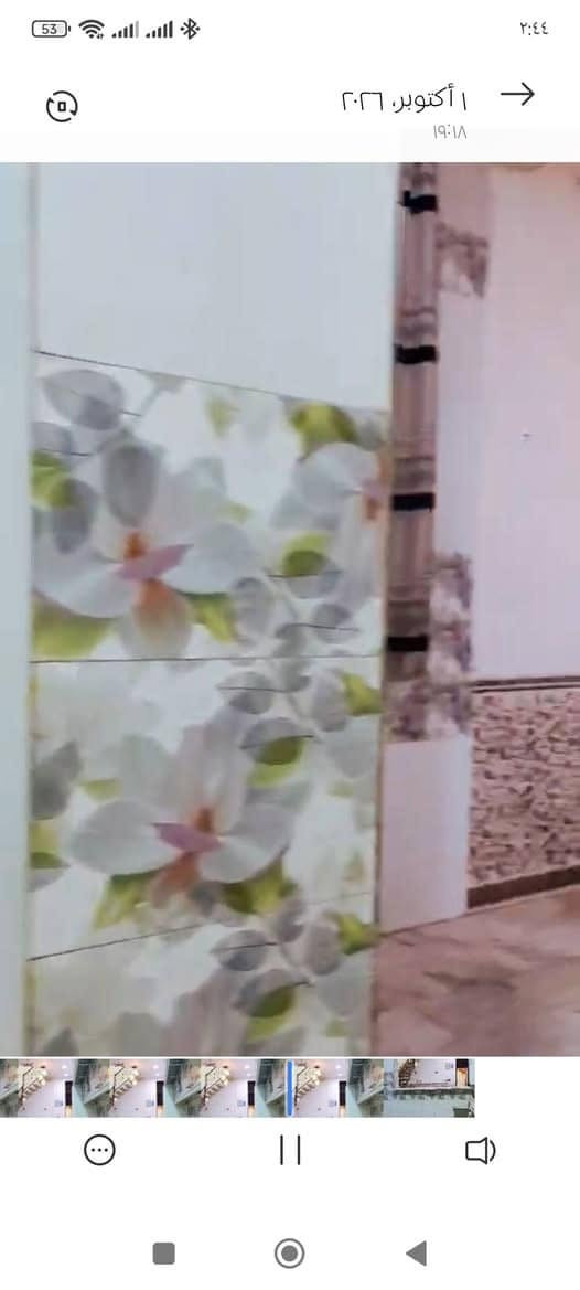 دور إيجار • عروض • داخل الحلة