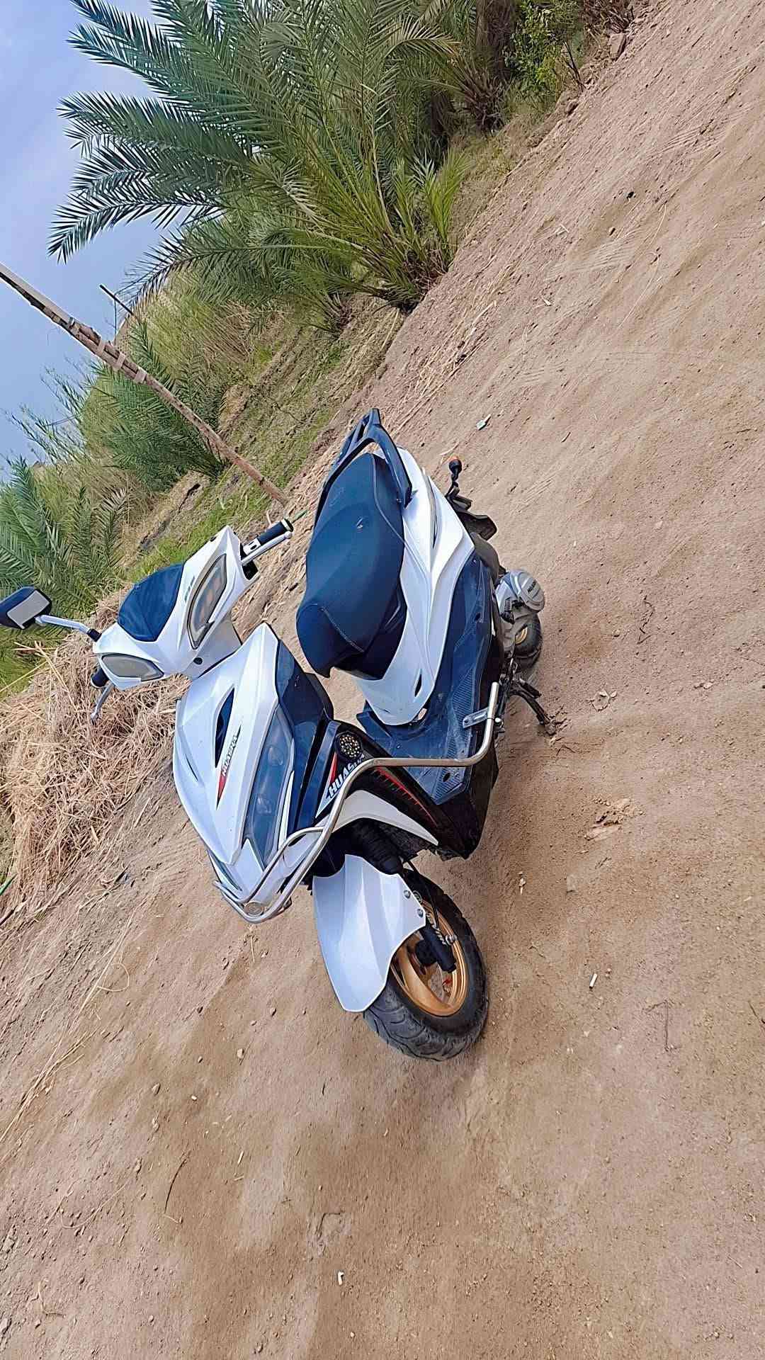 درجه • ٢٠٢٤ • كفاله عامه