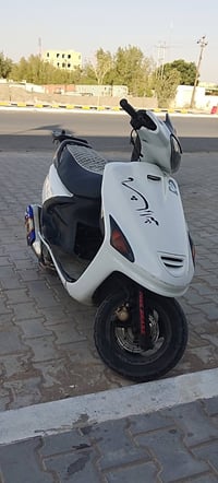 فراشة • فحل • شغاله