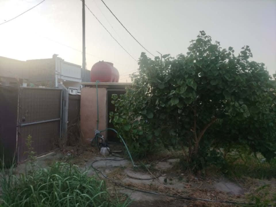 قطعة للبيع ٤٠٠م طابو زراعي سند٢٥ ملك صرف في حي العباس مقابل عمود ٣٠١ قرب سيطرة ام الھوى تحتوي على كافة الخدمات من ماء وكھرباء وتبليط محاطة بسياج وتوجد غرفةمساحة ٦في٦  وصحيات ومزروعة اشجر فواكة وضليات 
يمكن بيع ٢٠٠م منھا 
الاستفسار الاتصال بالرقم ***********
