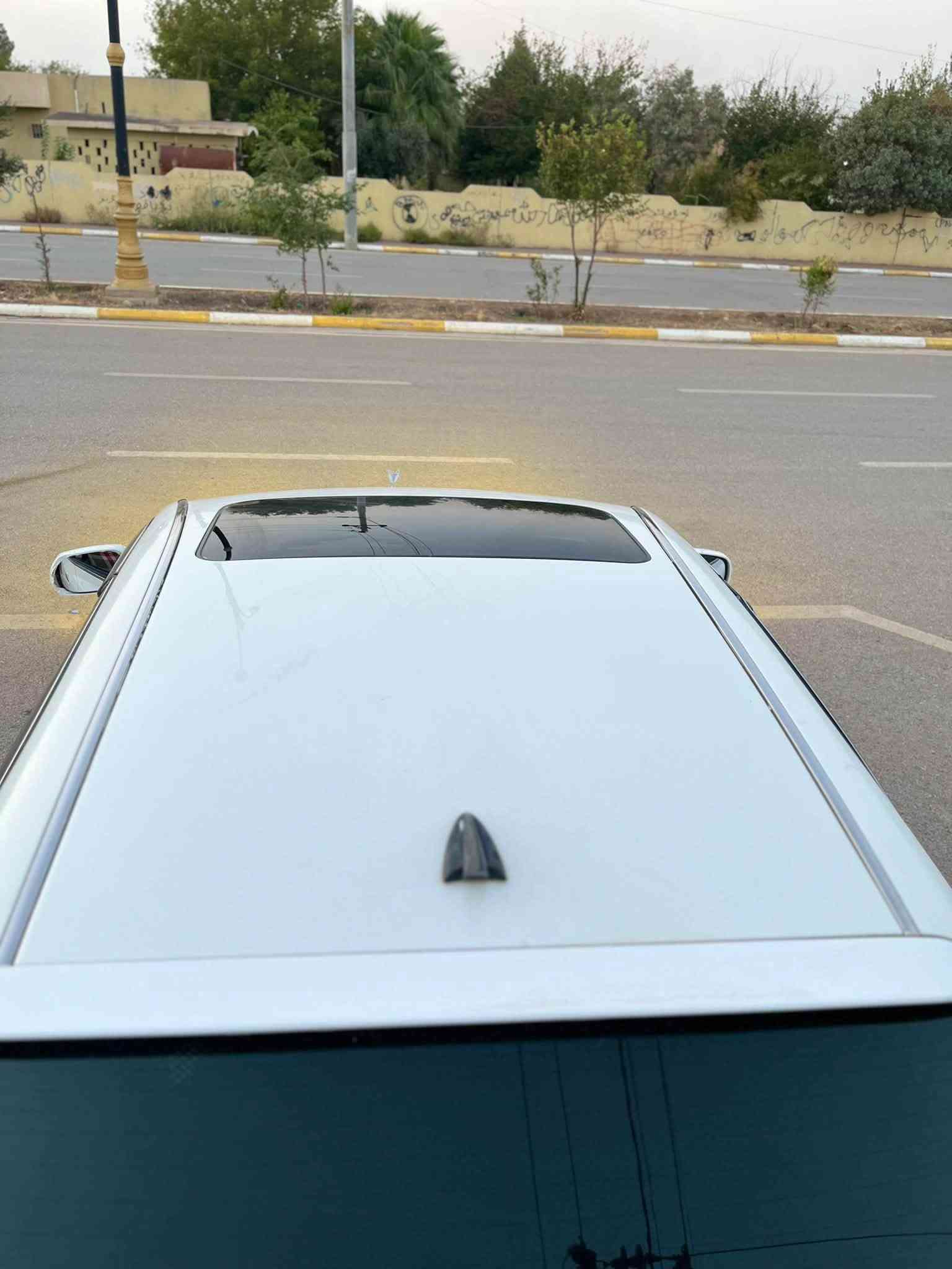 شاهينه • ٢٠٠٥ • حلبجة